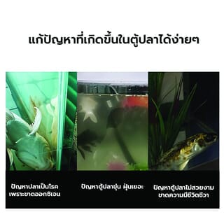 Gallery item 5