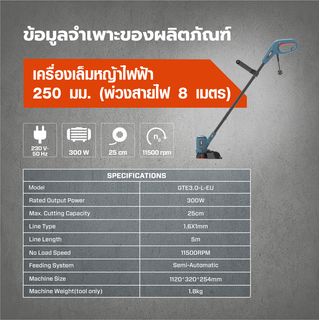 Gallery item 10