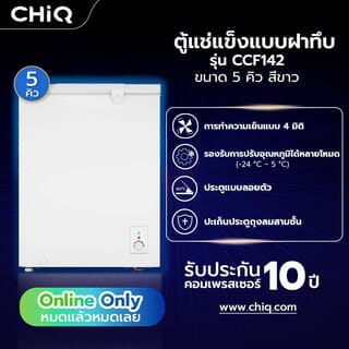 Gallery item 4