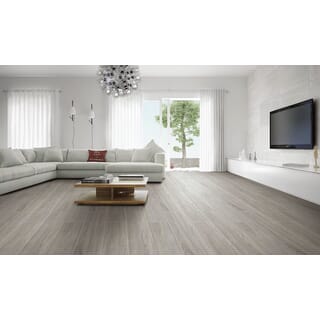 Gallery item 7