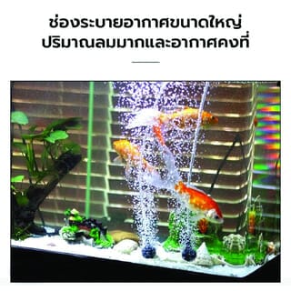 Gallery item 3