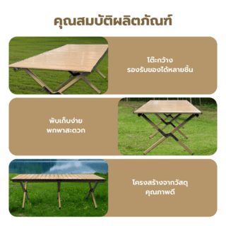 Gallery item 5