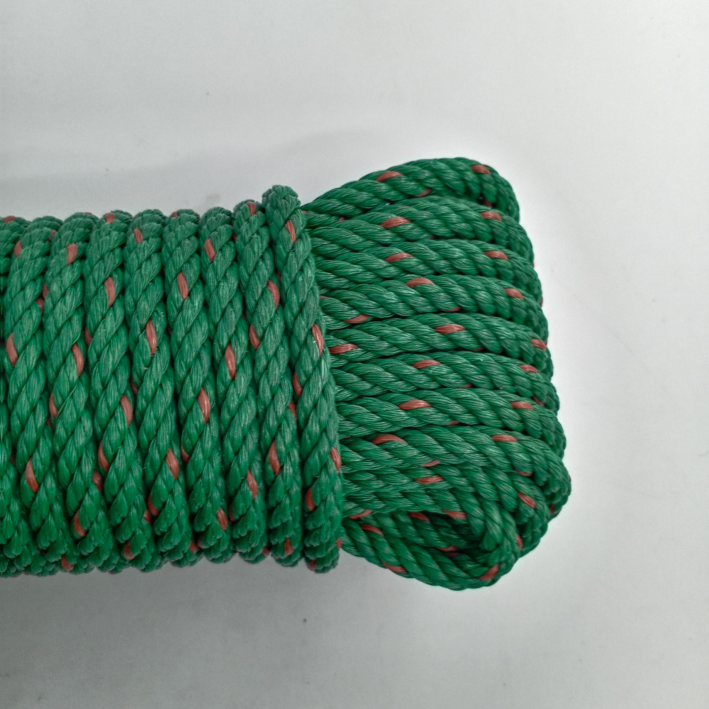 Gallery item 9