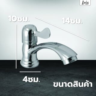 Gallery item 3