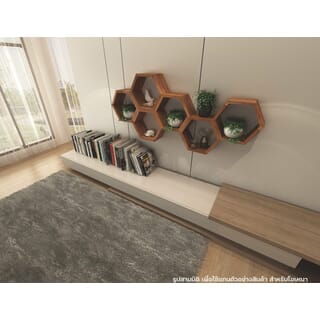 Gallery item 7