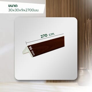 Gallery item 5