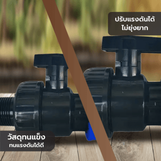Gallery item 2