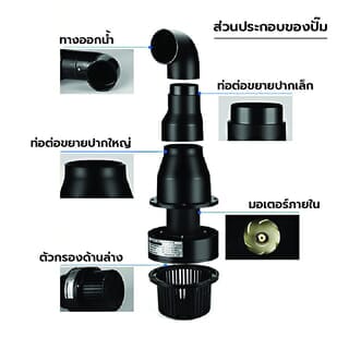 Gallery item 4
