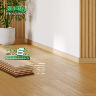 Gallery item 7