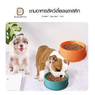 Gallery item 1