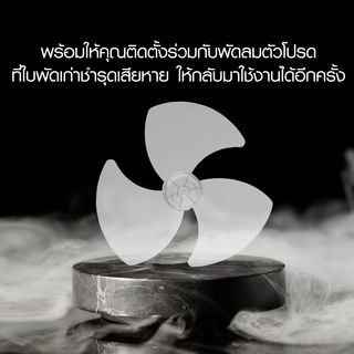Gallery item 3