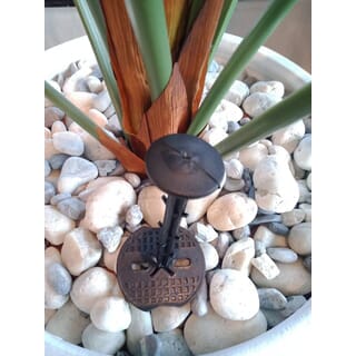 Gallery item 7