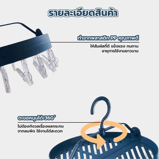 Gallery item 8