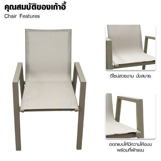 Gallery item 5