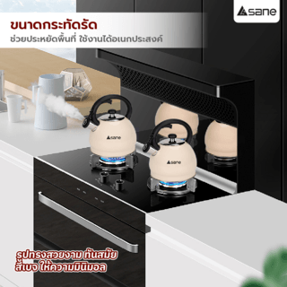 Gallery item 3