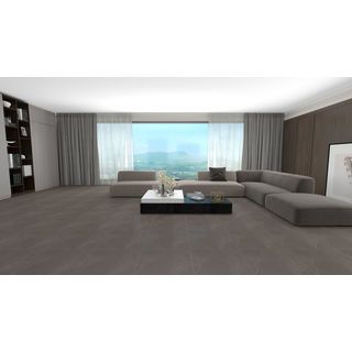 Gallery item 5