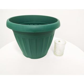 Gallery item 4