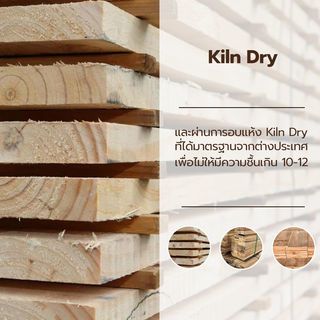 Gallery item 6