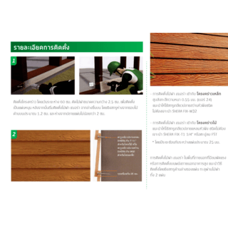 Gallery item 6
