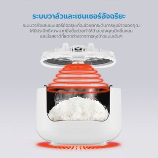 Gallery item 8
