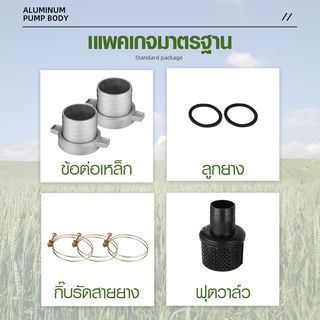 Gallery item 2