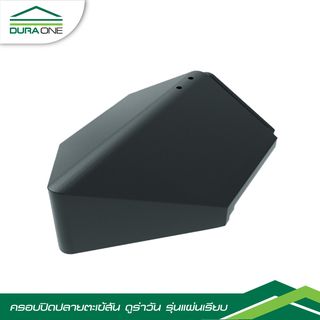 Gallery item 1