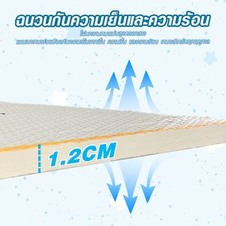 Gallery item 7