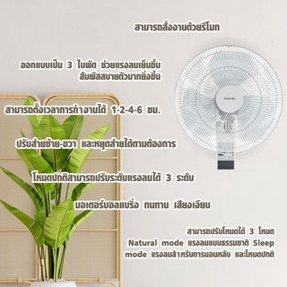 Gallery item 2