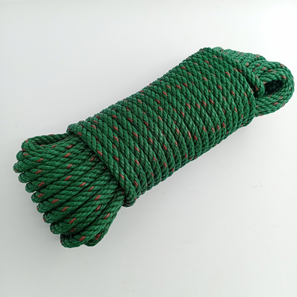 Gallery item 7