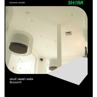 Gallery item 4