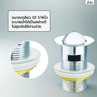 Gallery item 5