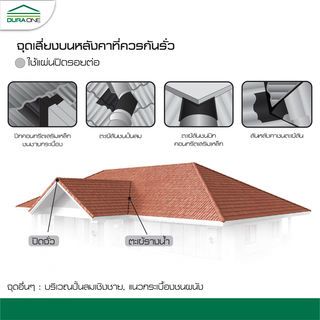 Gallery item 4