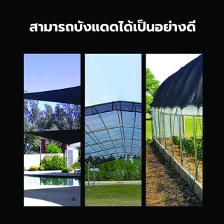Gallery item 4