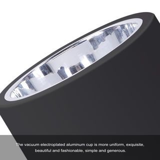 Gallery item 6