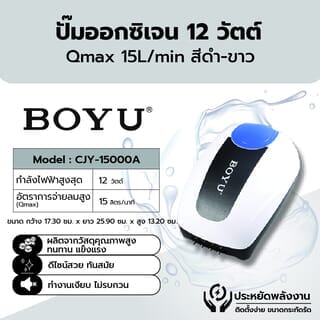 Gallery item 1