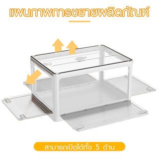 Gallery item 6