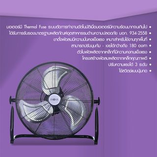 Gallery item 3