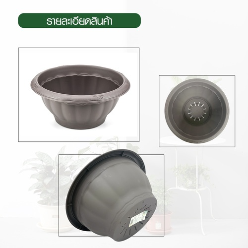 Gallery item 7