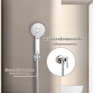 Gallery item 5