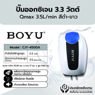 Gallery item 1