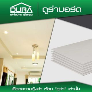 Gallery item 2