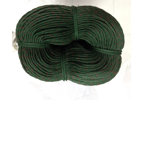 Gallery item 6