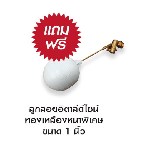 Gallery item 7