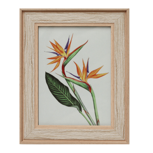 Gallery item 7