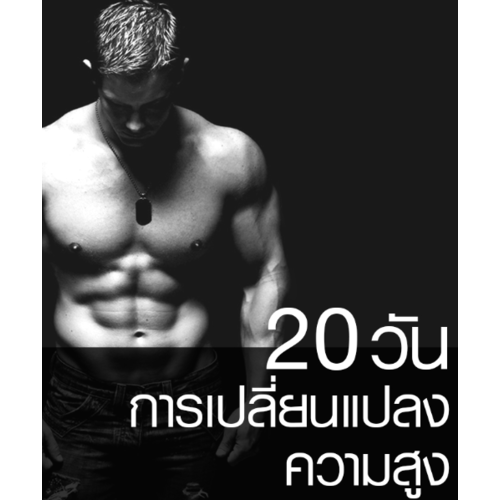 Gallery item 3
