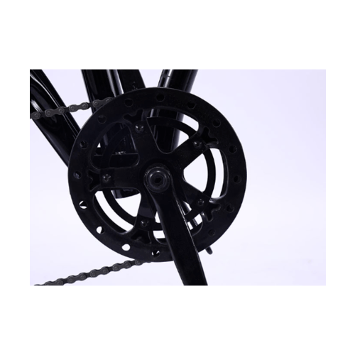 Gallery item 6