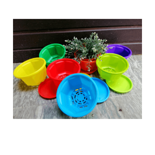Gallery item 4