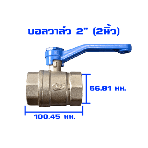 Gallery item 6