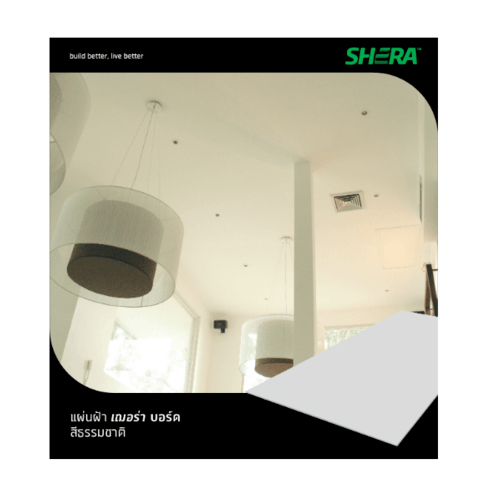 Gallery item 5