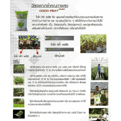 Gallery item 4